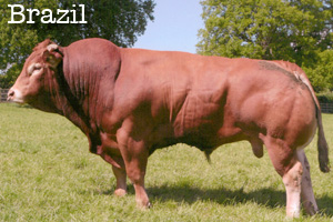 Brazil