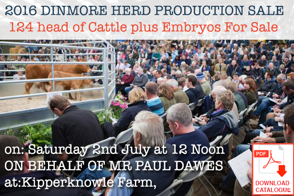 Dinmore Herd production Sale 2016