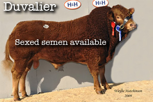Duvalier