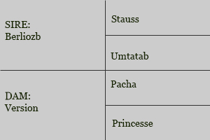 Diamant breeding table