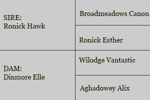 Goldeneye Breeding Table