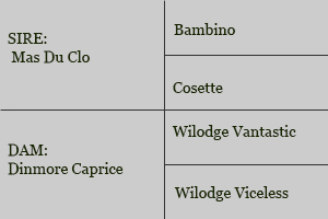 Diamant breeding table